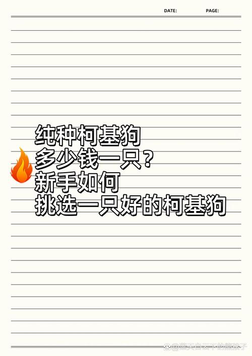 柯基幼犬费用一般多少钱，柯基幼犬费用一般多少钱一只-第2张图片-爱宠网