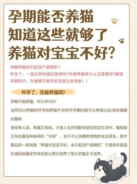 猫咪怀孕能不能洗澡？猫咪怀孕还可以洗澡吗？