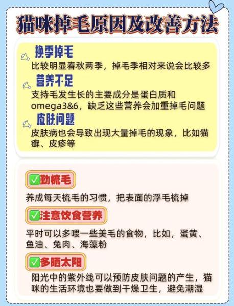 布偶猫掉毛怎么解决，布偶猫掉毛怎么解决好？-第1张图片-爱宠网